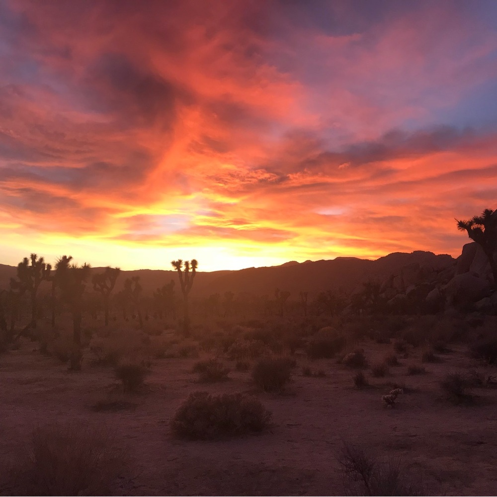 Meet your Posher, Dawn